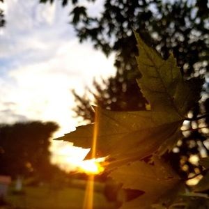 Meet your Posher, Taya